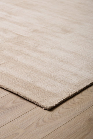 Champagne Beige Rug