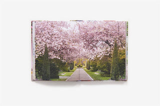 London In bloom by Georgianna Lane