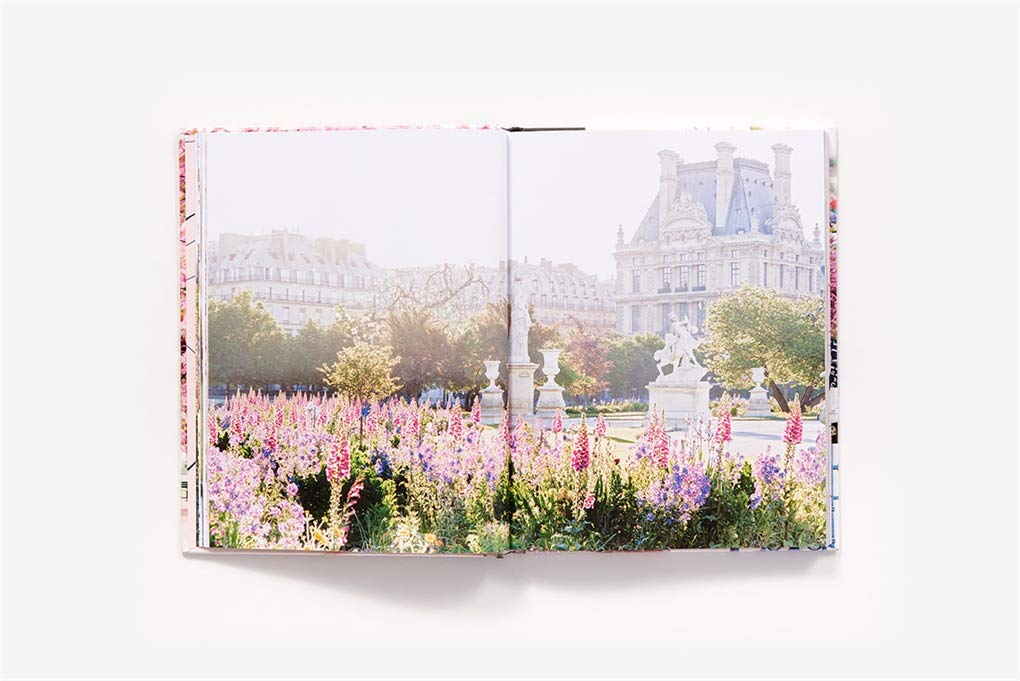 Paris In bloom by Georgianna Lane