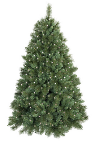 Green artificial Christmas tree with lights on a white background