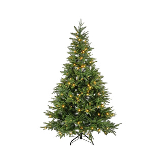 Decorated Christmas tree with lights on a white background